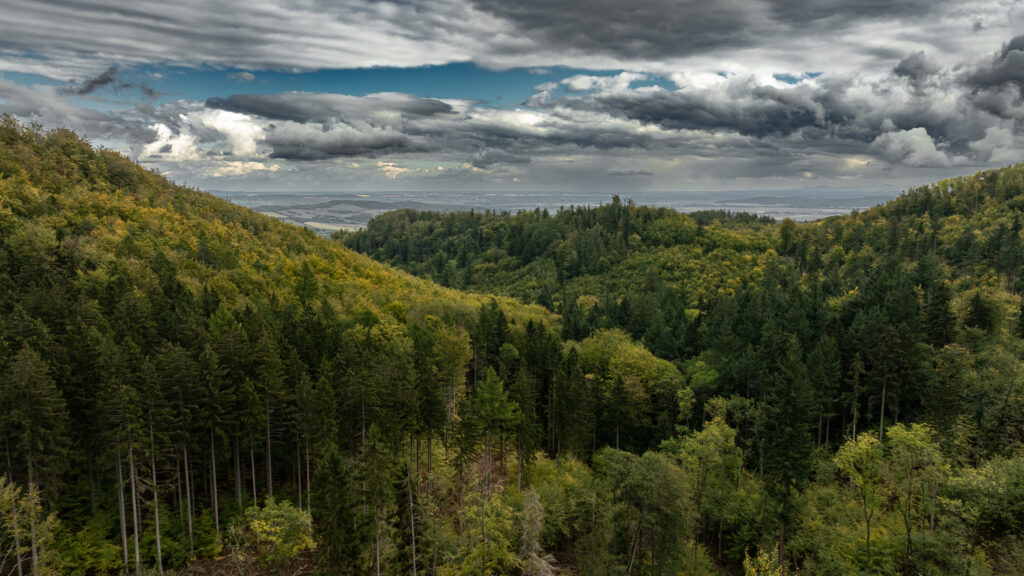 Rozległe, zalesione wzgórze i dolina w oddali sfotografowane z drona.